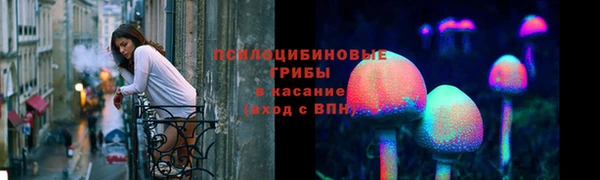 крисы Няндома