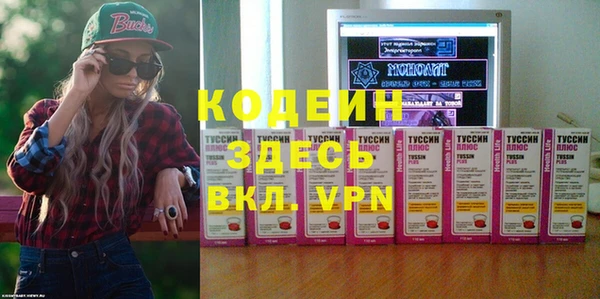 крисы Няндома