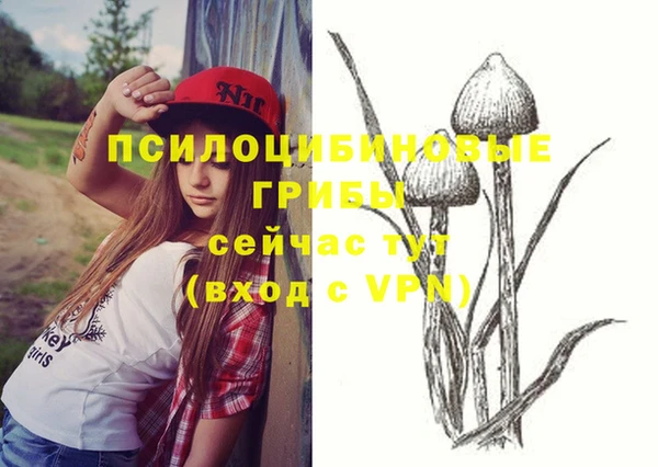 крисы Няндома