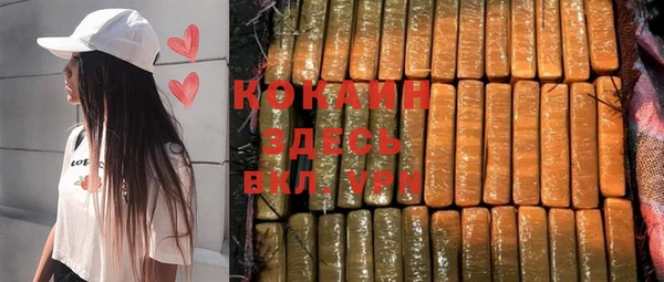 крисы Няндома
