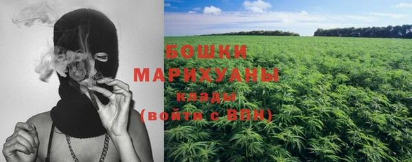 дурь Нягань