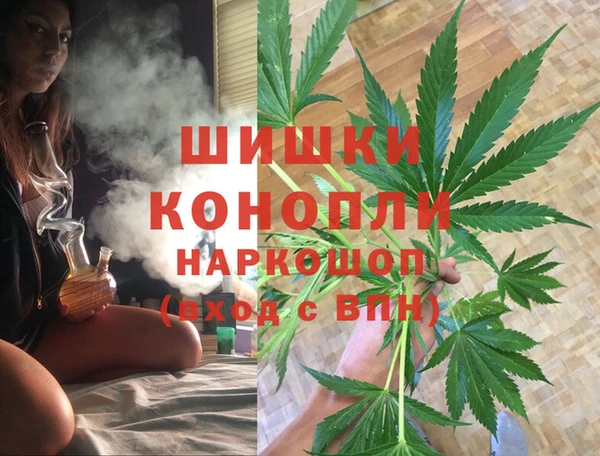 крисы Няндома