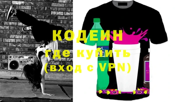 крисы Няндома