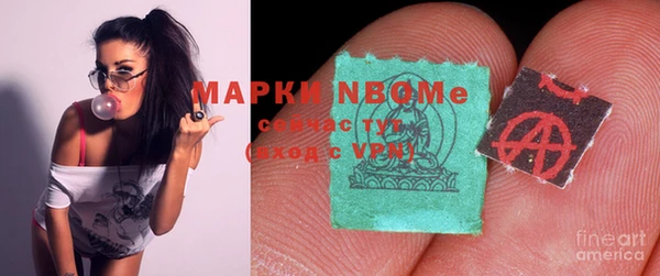 крисы Няндома